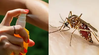 Salud pública: el Gobierno de Formosa entrega kits de prevención contra el dengue junto a módulos alimentarios Salud pública: el Gobierno de Formosa entrega kits de prevención contra el dengue junto a módulos alimentarios