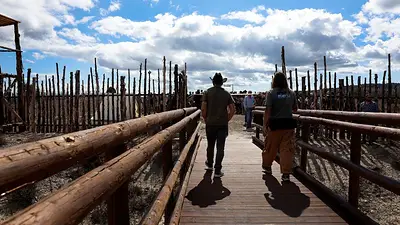 "Tú cava": España atrae a los cinéfilos a los lugares donde se rodó "El bueno, el feo y el malo" "Tú cava": España atrae a los cinéfilos a los lugares donde se rodó "El bueno, el feo y el malo"