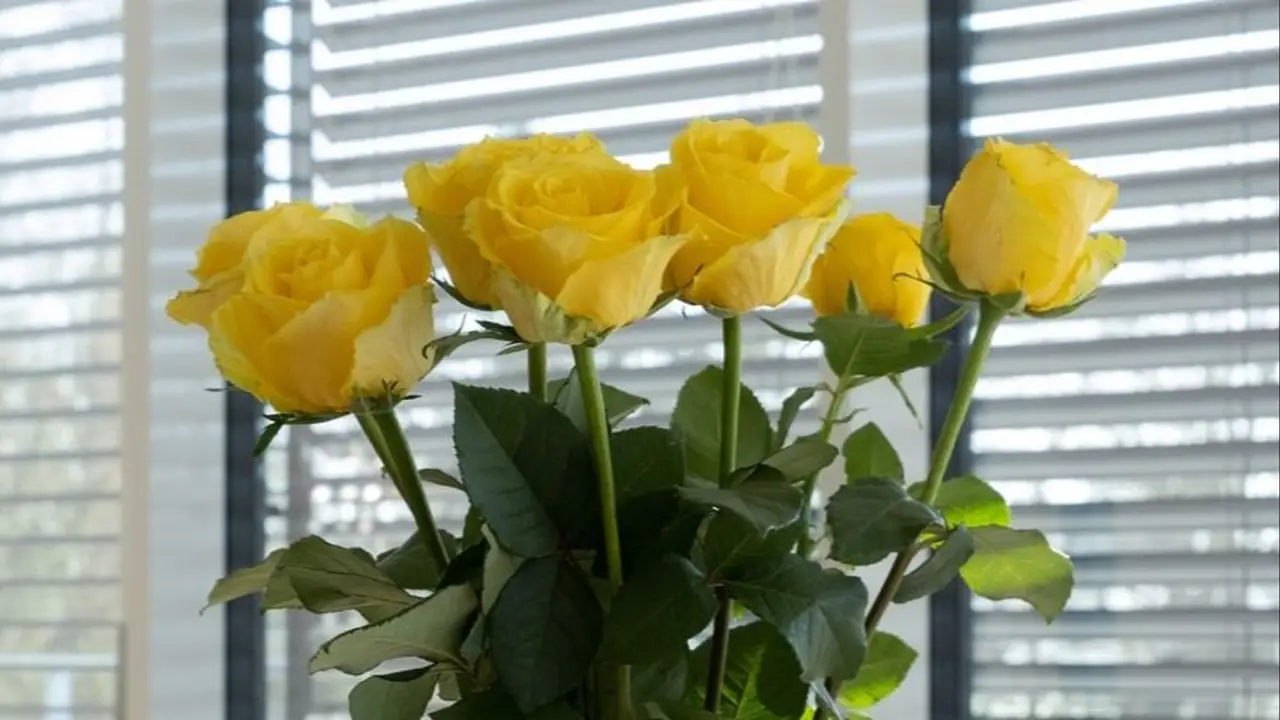 Día de la primavera