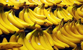 Productores bananeros: alertan por una desregulación clave del gobierno nacional | El destape formosa
