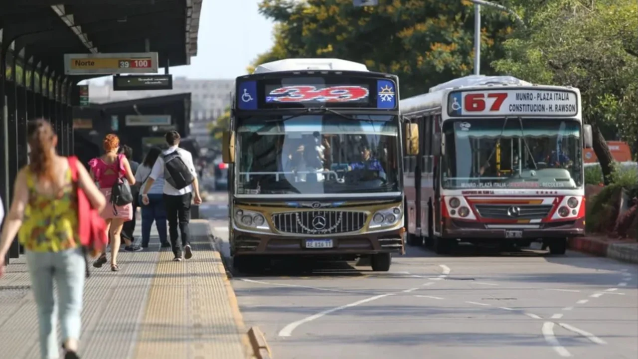 Colectivos