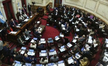 Tensa semana para el Gobierno: cuatro elecciones, Ficha Limpia y paro de colectivos | Javier milei presidente
