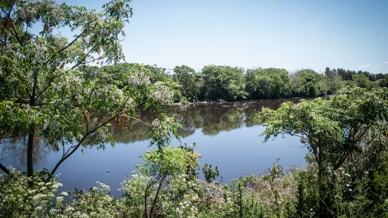 Fue privatizado por la dictadura para convertirlo en basural y ahora será la primera reserva ecológica de San Martín