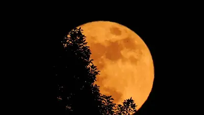 Luna llena. Luna llena.