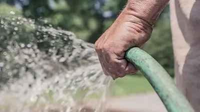 manguera, agua manguera, agua