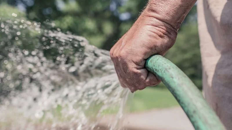 manguera, agua