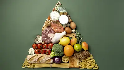 Alimentos Alimentos