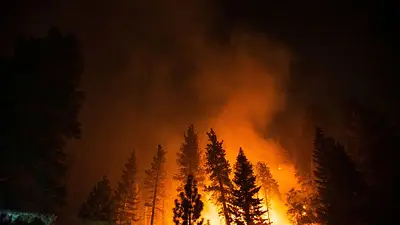 "Doble impacto" vinculado al clima podría impulsar los incendios forestales en Los Ángeles "Doble impacto" vinculado al clima podría impulsar los incendios forestales en Los Ángeles