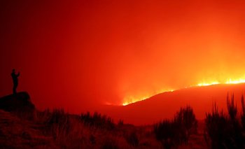 La policía portuguesa detiene a 14 presuntos pirómanos por los incendios forestales | Incendios