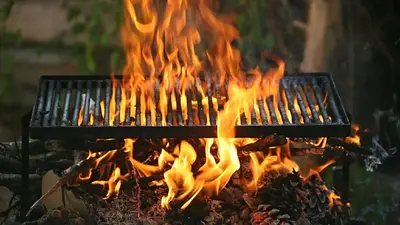 asado, fuego, combustible asado, fuego, combustible