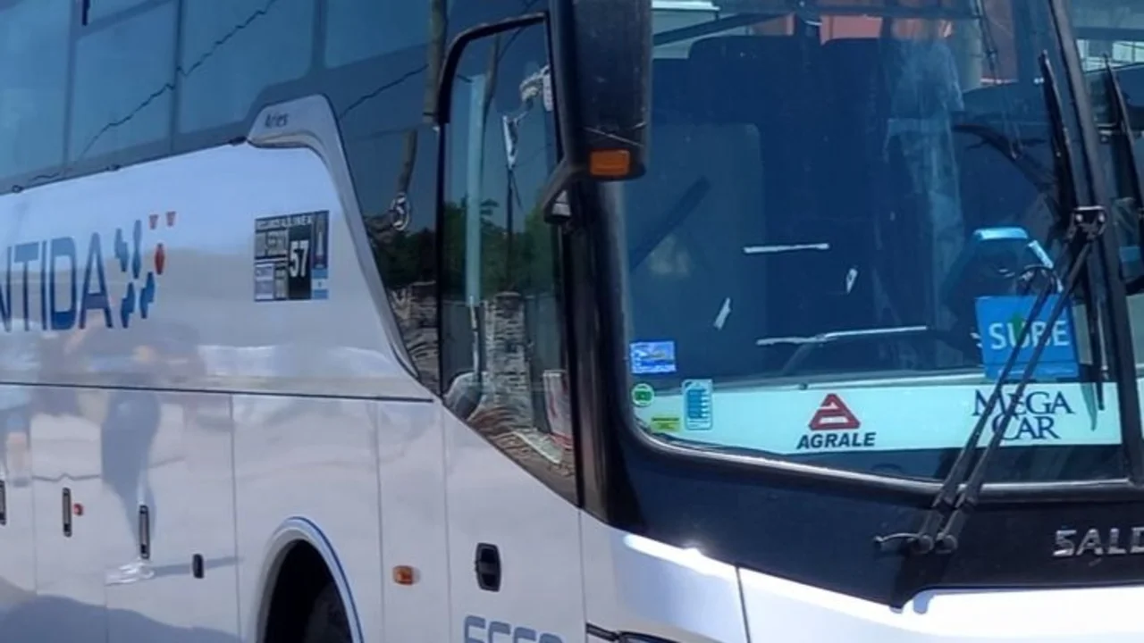 Recorrido de la línea 57 con aire acondicionado que une Provincia con Ciudad de Buenos Aires