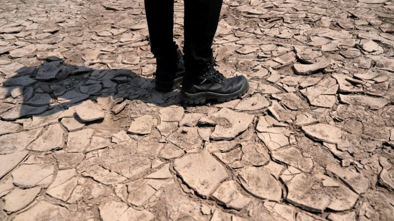 ¿Quién paga?", se pregunta Greenpeace en Brasil sobre el impacto climático en el Amazonas