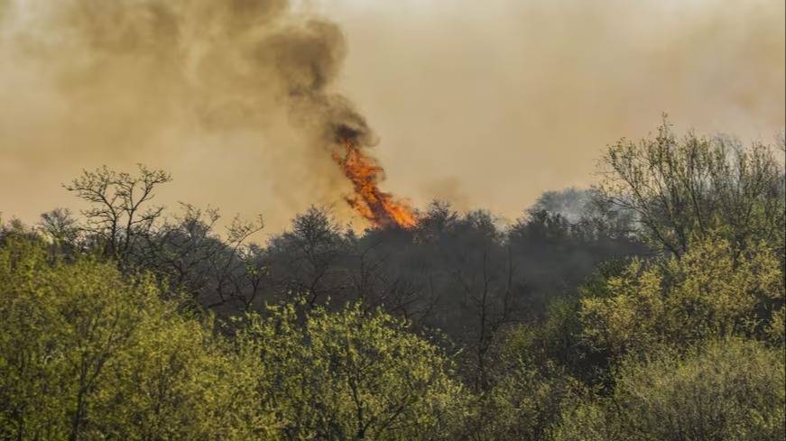 Córdoba en llamas: incendios forestales desafían a bomberos y autoridades