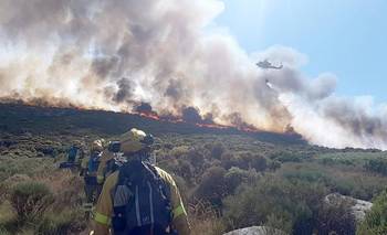 Qué es la Ley de Fuego que quiere derogar Javier Milei: los puntos más importantes | Incendios