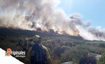 Qué es la Ley de Fuego que quiere derogar Javier Milei: los puntos más importantes | Incendios