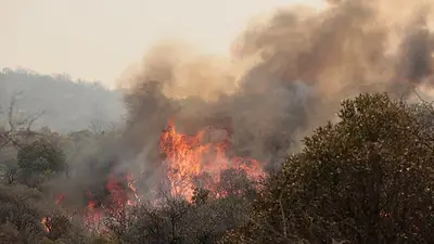 El ministro de Seguridad de Córdoba reveló la verdad sobre los incendios: "Cuestiones indignantes" El ministro de Seguridad de Córdoba reveló la verdad sobre los incendios: "Cuestiones indignantes"