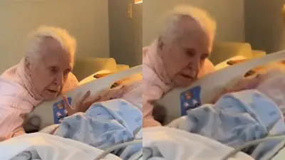 abuelos abuelos
