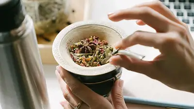 Cuál es la hierba que se le puede sumar al mate para tener más energía. Propiedades del mentol para sumar al mate. Mentol para tener más energía. Cuál es la hierba que se le puede sumar al mate para tener más energía. Propiedades del mentol para sumar al mate. Mentol para tener más energía.