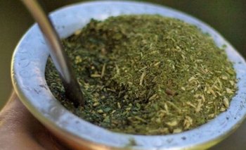 Cuál es la hierba que recomiendan ponerle al mate para no tener dolor de panza | Mate