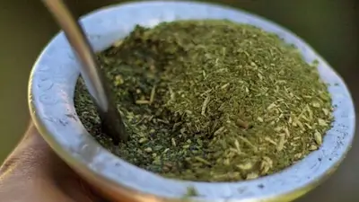 Por qué recomiendan agregarle una hierba al mate para no tener dolor de panza. Por qué recomiendan agregarle una hierba al mate para no tener dolor de panza.