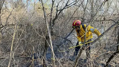 Incendios en La Rioja: el Gobierno provincial realizó operaciones defensivas para contenerlo Incendios en La Rioja: el Gobierno provincial realizó operaciones defensivas para contenerlo