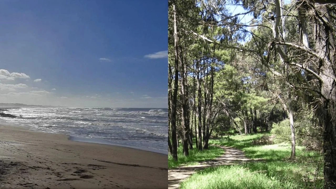 Playas de Miramar y el Bosque Energético