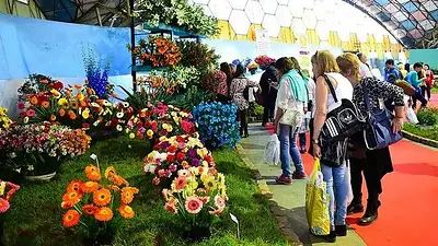 Dónde se realiza la Fiesta Nacional de la Flor. Escapada a Escobar para la Fiesta Nacional de la Flor. Cuándo es la Fiesta Nacional de la Flor. Dónde se realiza la Fiesta Nacional de la Flor. Escapada a Escobar para la Fiesta Nacional de la Flor. Cuándo es la Fiesta Nacional de la Flor.