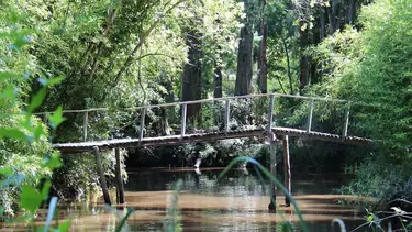 Escapada de fin de semana en pareja por Buenos Aires: los 4 mejores bosques para visitar y descansar