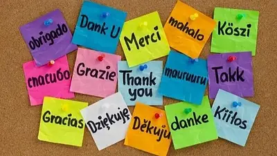 Idiomas Idiomas
