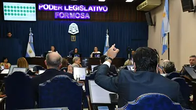 Igualdad de género, protección digital y reelección: las últimas reformas de la Constitución de Formosa Igualdad de género, protección digital y reelección: las últimas reformas de la Constitución de Formosa
