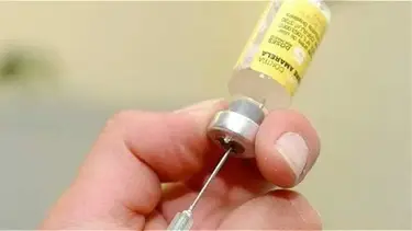 Por culpa de Milei, Buenos Aires alertó por una posible epidemia de fiebre amarilla: "Vulnerables"