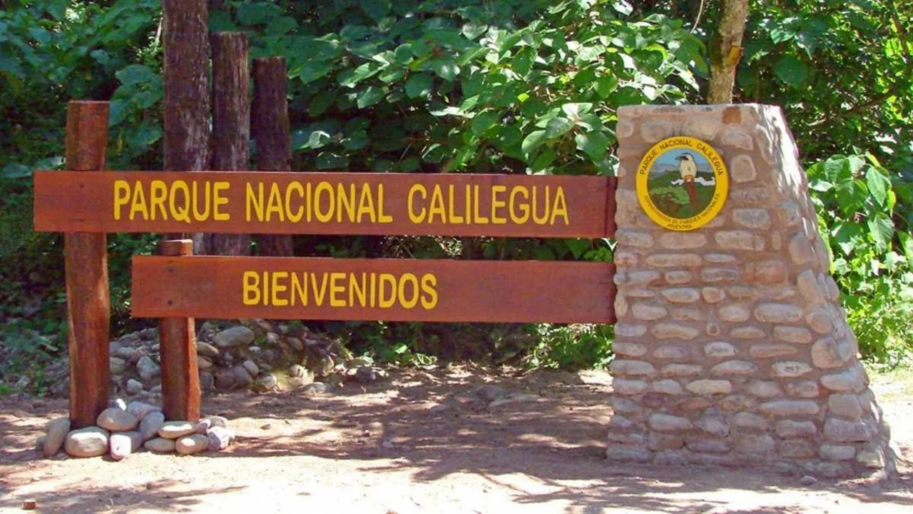 Giro de la Justicia por la contaminación del Parque Nacional Calilegua: Greenpeace logró una condena clave contra dos petroleras