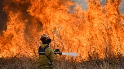 Incendios Forestales. Incendios Forestales.