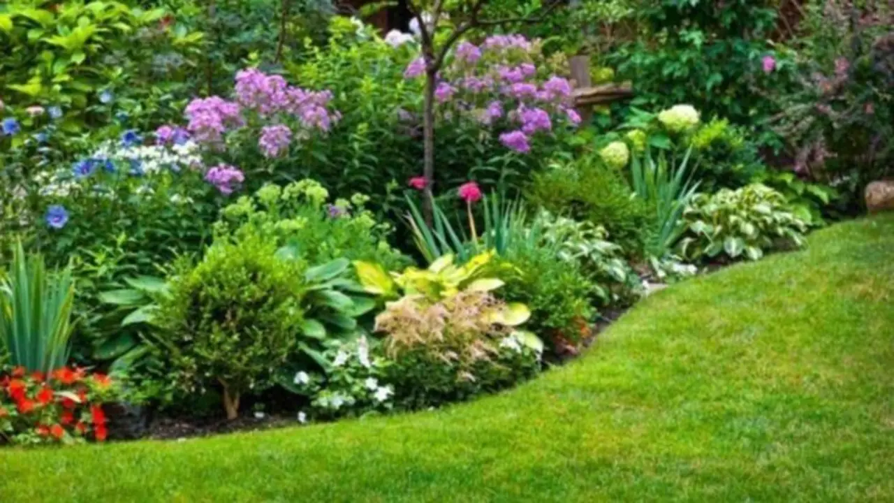 Jardin verde y floreado.