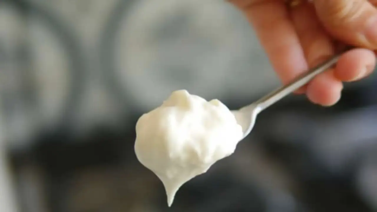 Yogurt casero