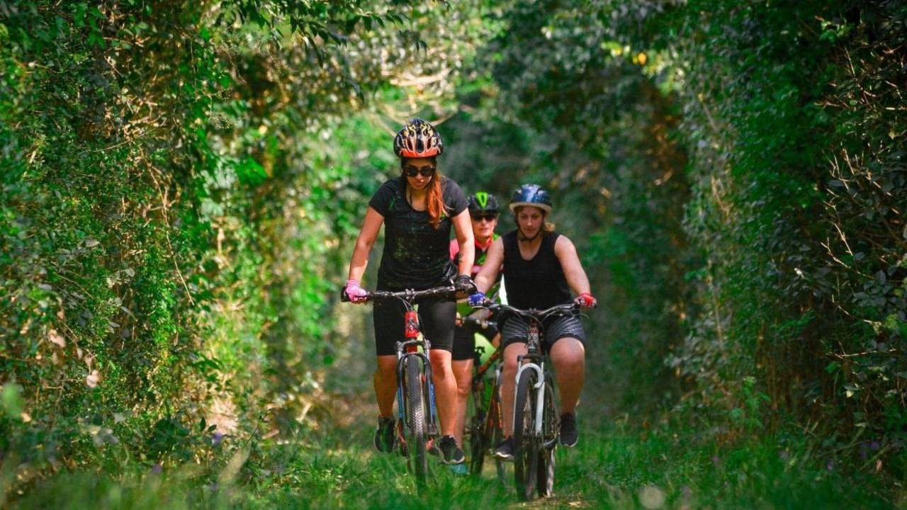 Personas andando en bicicleta