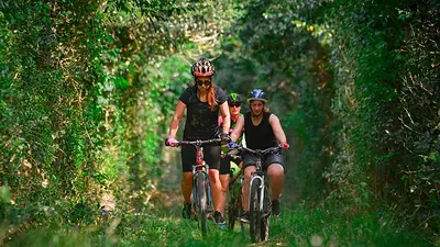 Personas andando en bicicleta Personas andando en bicicleta