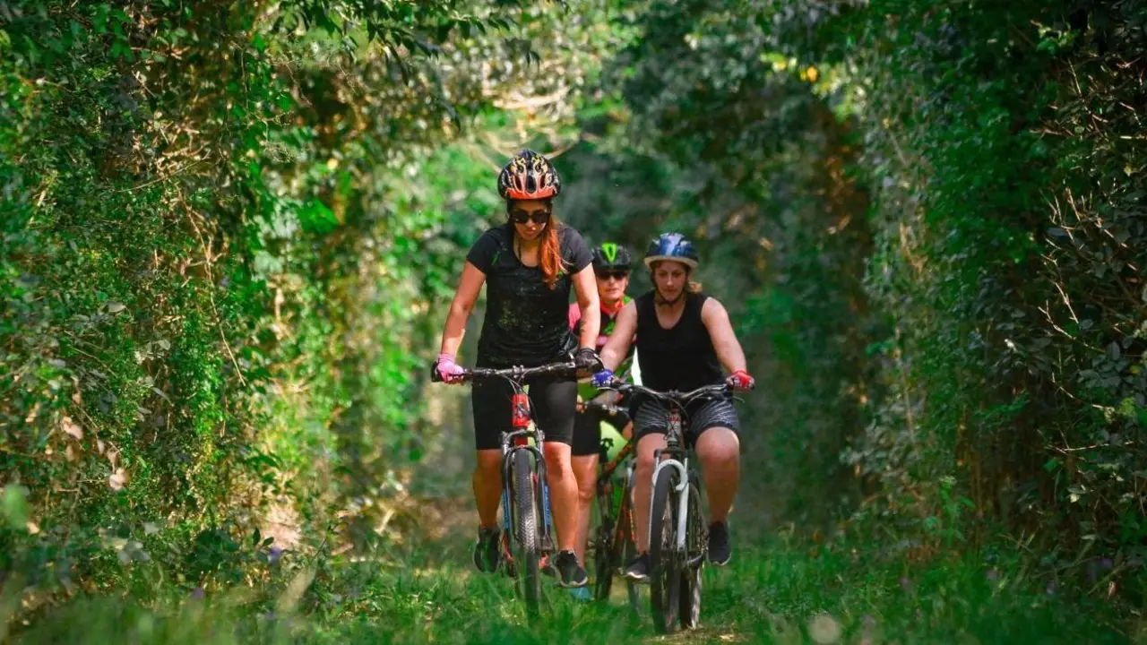 Personas andando en bicicleta