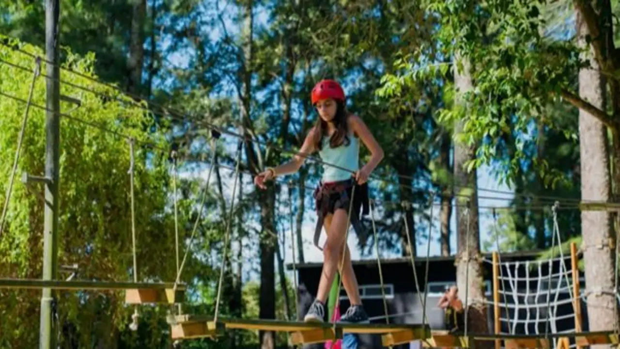 Viajes de Egresados Tigre
