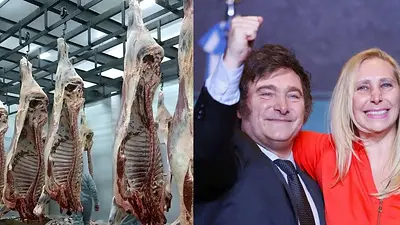 Frigorífico y Javier Milei Frigorífico y Javier Milei
