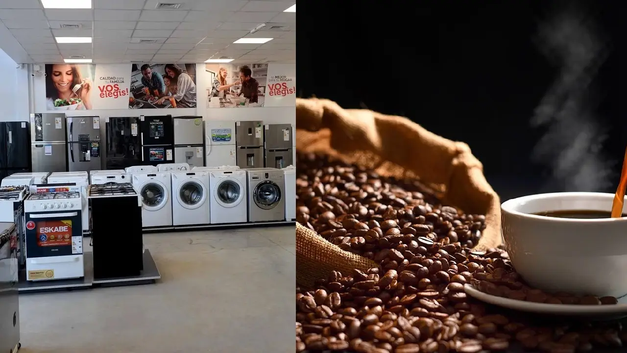 Electrodomésticos y café