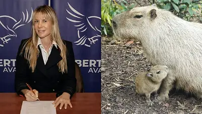 Karen Reichardt Karen Reichardt