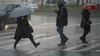 Las lluvias vuelven con fuerza y pondrán fin a la miniprimavera Las lluvias vuelven con fuerza y pondrán fin a la miniprimavera