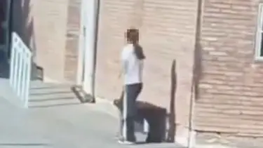 Caso de la nena armada en Mendoza: qué cambios proponen en el Código Contravencional
