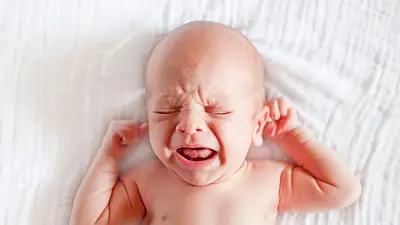 Bebés Bebés