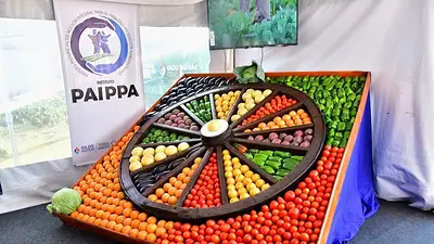 29 años del PAIPPA: Formosa celebra su impacto en la producción y fortalecimiento de la soberanía alimentaria 29 años del PAIPPA: Formosa celebra su impacto en la producción y fortalecimiento de la soberanía alimentaria