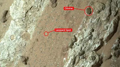 Asombro por la roca que la NASA encontró en Marte y cambia todo Asombro por la roca que la NASA encontró en Marte y cambia todo