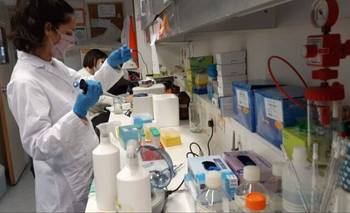 La ciencia y la tecnología ya tienen status constitucional en la provincia de Santa Fe | Ciencia 