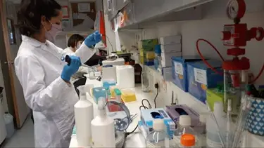 La ciencia y la tecnología ya tienen status constitucional en la provincia de Santa Fe
