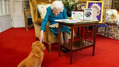 La reina Isabel II con uno de sus perros corgis La reina Isabel II con uno de sus perros corgis
